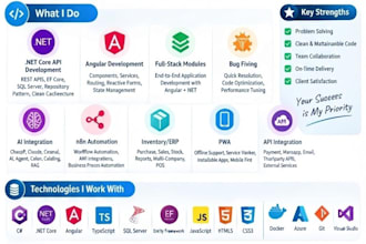 develop custom software for any domain with dotnetcoreapi and angular