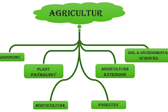 give all out solutions to agricultural related problems