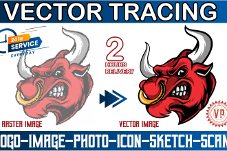 convert any raster image to vector within 2hrs