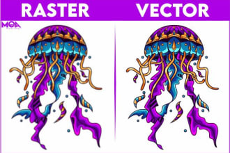 redraw vector trace your logo or image manually professionally tracing