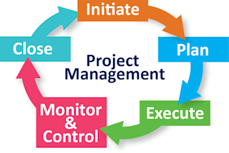 outsourced remote project manager