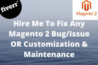 fix bugs, customize magento 2 store and do maintenance