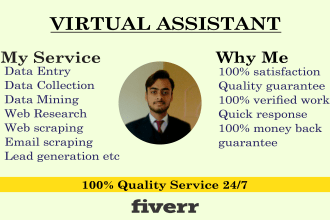 be your virtual assistant for data entry,web research etc