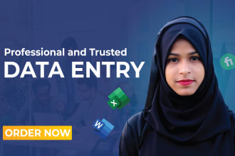 do internet research, copy paste and excel data entry work