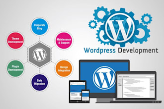 build responsive wordpress website design and blog