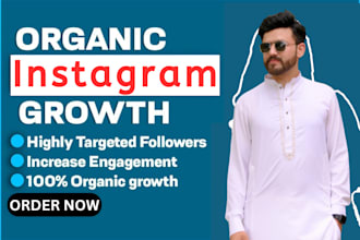do fast organic instagram growth