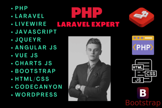 develop, redesign, and fix the PHP website