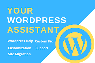 be your professional wordpress assistant or wordpress expert