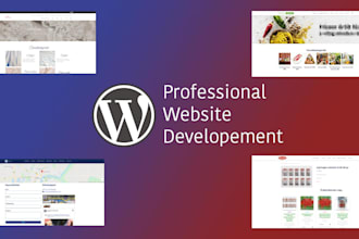 create you an outstanding, professional website