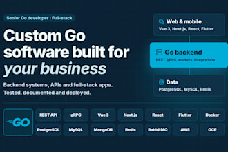 build custom golang software, backend systems and full stack apps