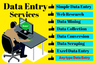 provide any type of data entry services