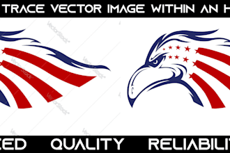 recreate, trace complex design vector file