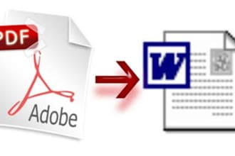 rewrite The Pdf Files Into Word Document Or Rewrite The Scanned Pages Into Word Document