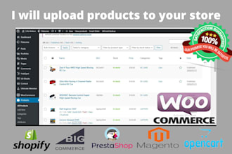 help you with ecommerce product upload on shopify store or wordpress woocommerce