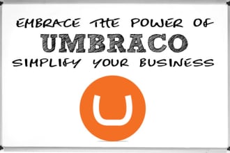 be your umbraco dotnet consultant