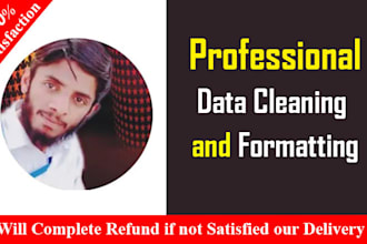 do excel data cleaning and formatting for you