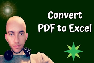 do professionally PDF to excel conversion