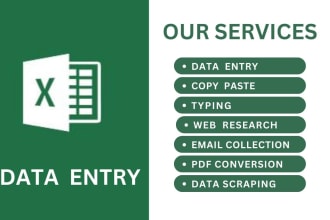 do data entry, excel data entry, copy paste, typing, web research, convert PDF