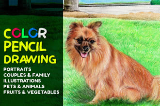 create color pencil, water color or colored pen illustration