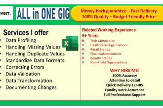 do excel data cleaning, data formatting records in 12hrs