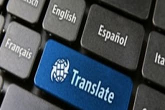 translate 500 words Translation 500 words English to French or French to English