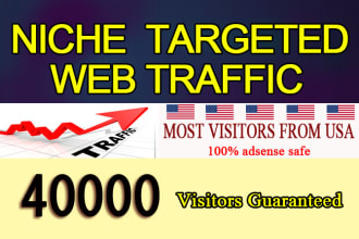 drive niche targeted web traffic most from USA