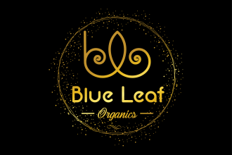 design unique signature logo for your business