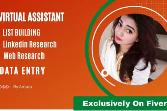 be your virtual assistant for data entry and data collection job