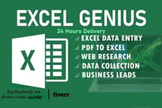 do excel data entry