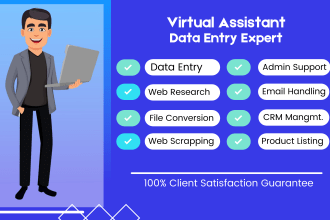 do accurate data entry, copy paste and web research