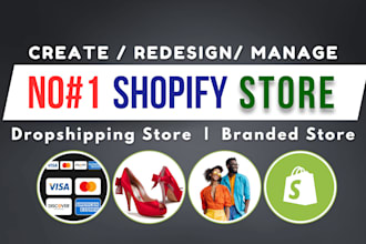 create a branded shopify store, one product shopify store, dropshipping store