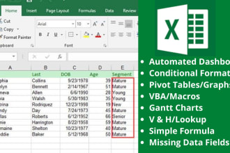 do fast excel data entry, data manipulation or formatting