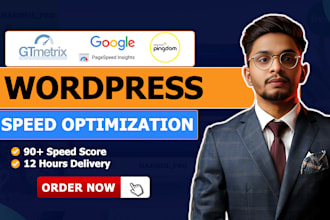 do wordpress speed optimization for google page speed insights