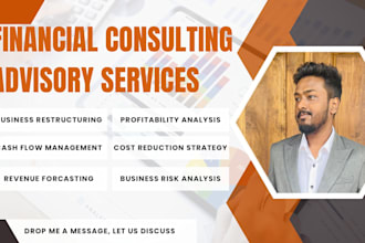 provide financial consulting, advisory, budgeting, costing, analysis services