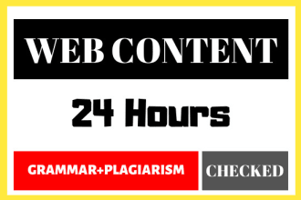 be your website content writer