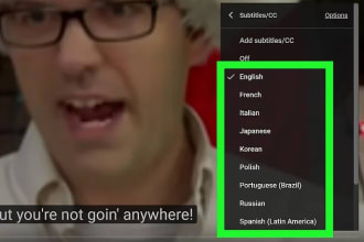 add subtitle to youtube video in english
