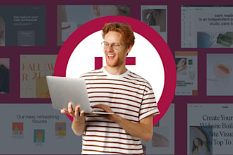 be elementor expert to build wordpress elementor pro website