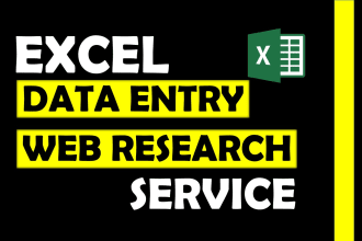 do excel data entry and web research