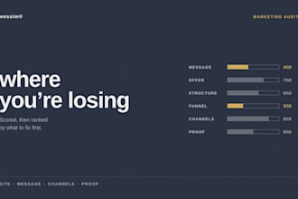 audit your brand, website and marketing and give you a fix list
