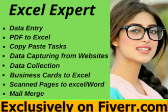 do excel data entry