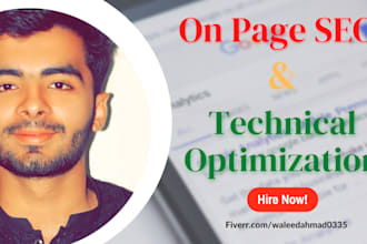 do on page SEO and technical optimization service of wordpress site