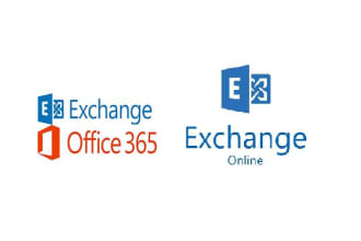 provide support on active directory, exchange server and office 365