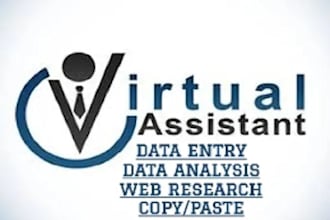 do any data entry, copy paste, typing, editing, excel data entry job