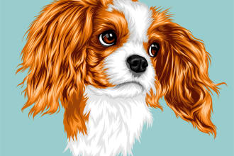 draw your pet or animal to realistic vector