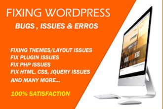 wordpress website customization and bug fixing services