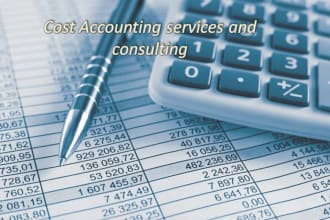 perform cost accounting services and consulting