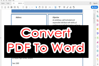 convert PDF and scan documents into microsoft word and excel