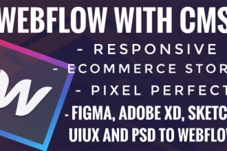 development webflow website with cms