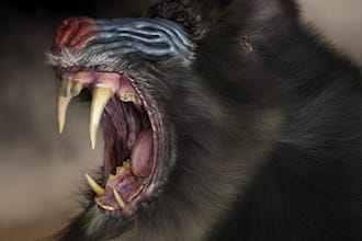 create realistic 3d pets