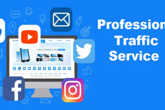 drive traffic to ecommerce,website,etsy,ebay,amazon,shopify market promotion